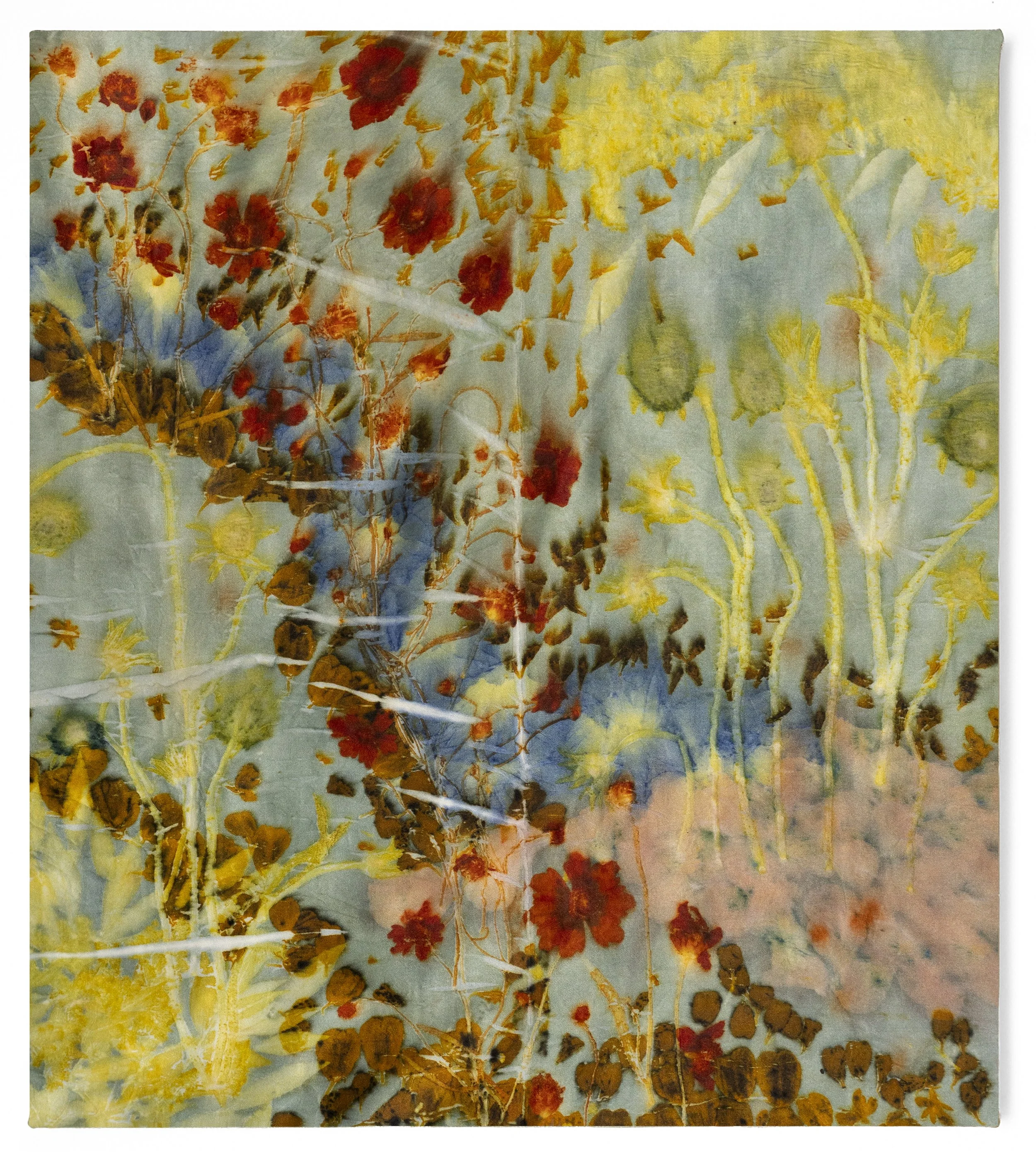 gardenprint12_1.jpg