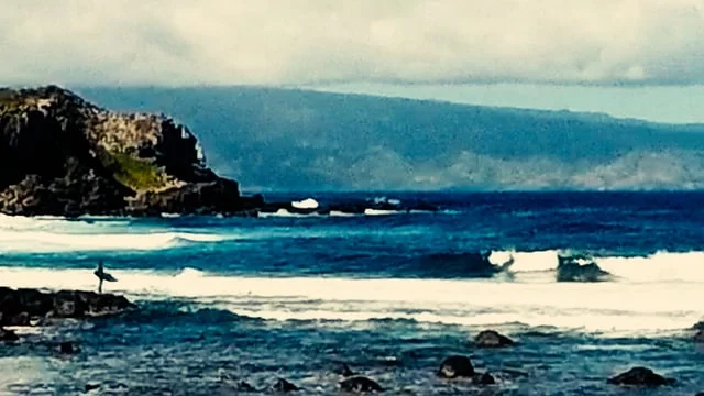 MOMENTS IN MAUI