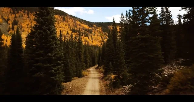 Fall in Colorado