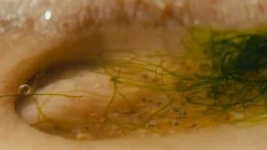 Where I Learn to Breathe (Trailer)