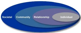 * The overlapping rings in this pictured model illustrate how factors at one level influence factors at another level.