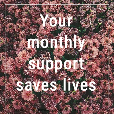 support.jpg