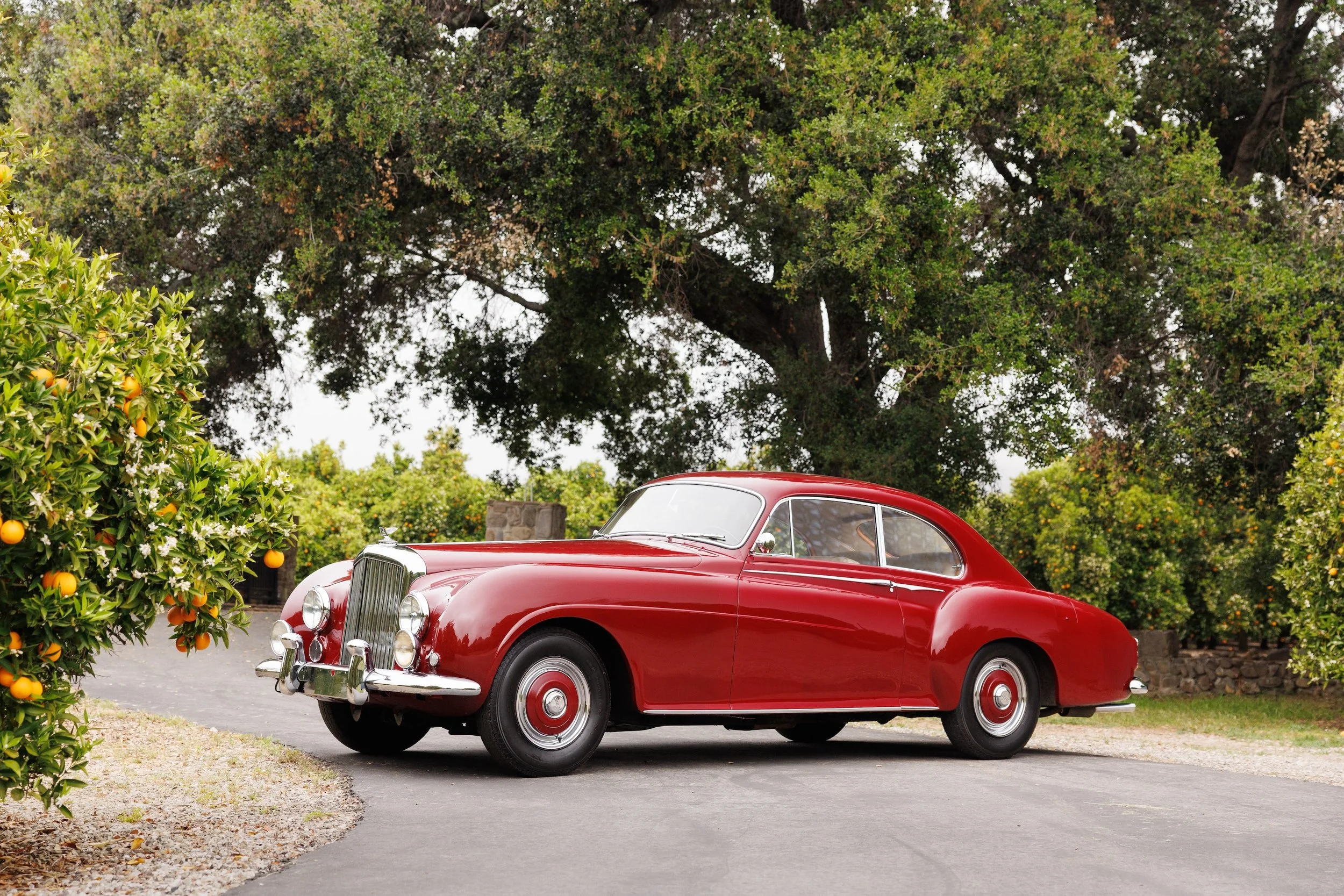 1955 Bentley R-Type Continental Fastback — Hageman Motorcars