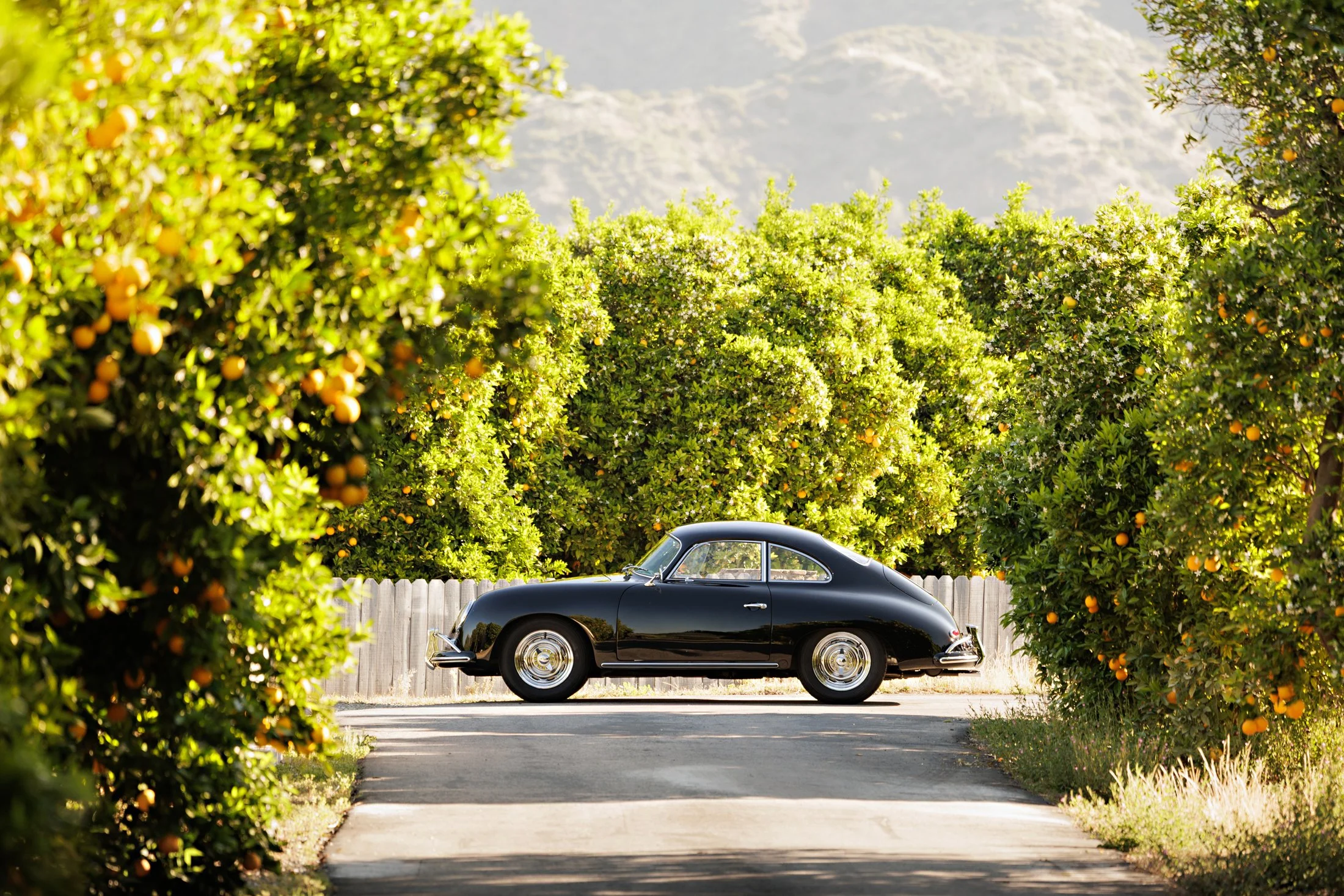 1959_Porsche_365A_28.jpg