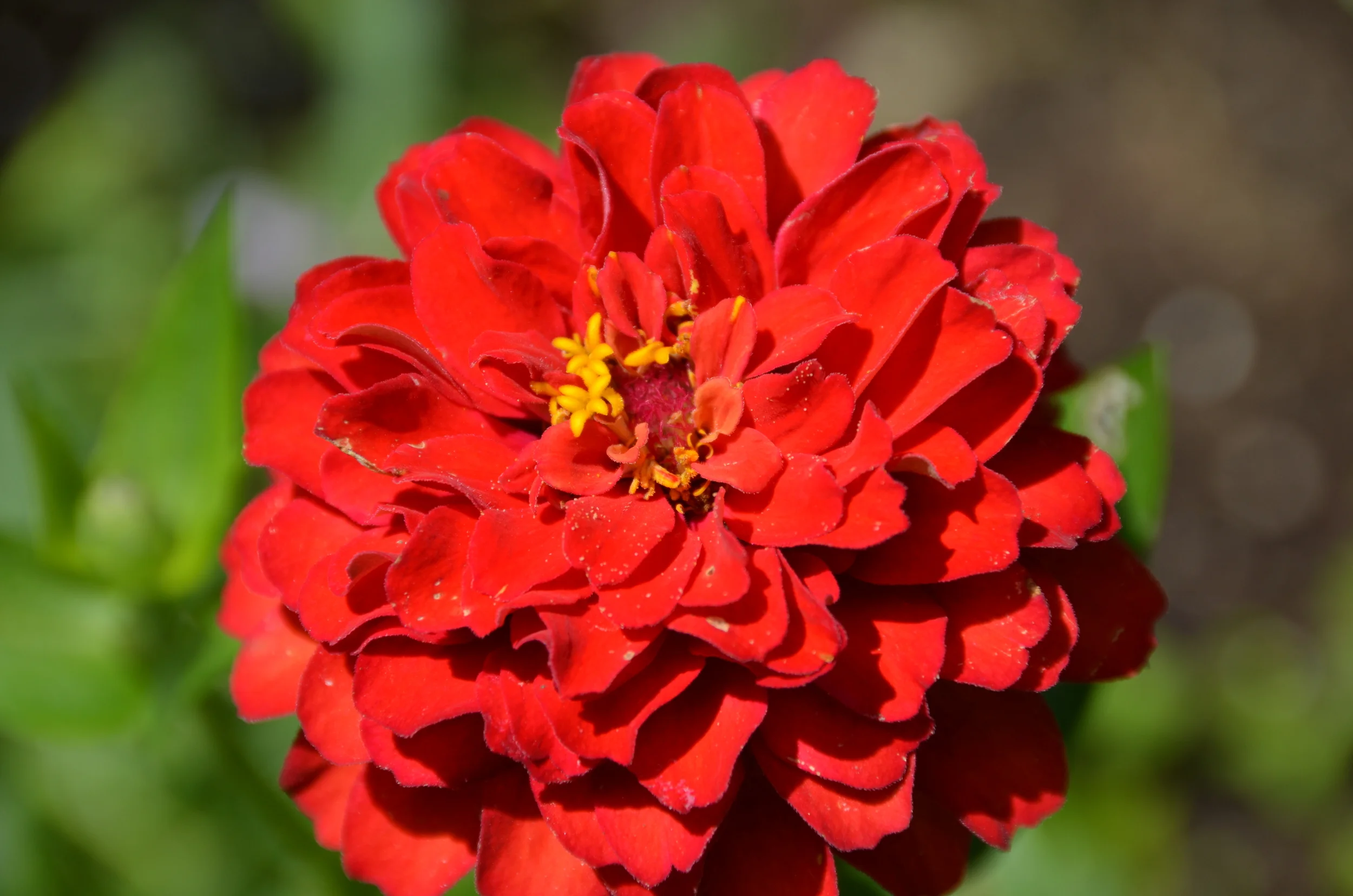 DSC_0005.JPG