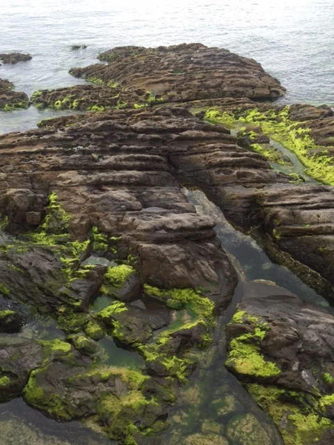 Coastal beauty