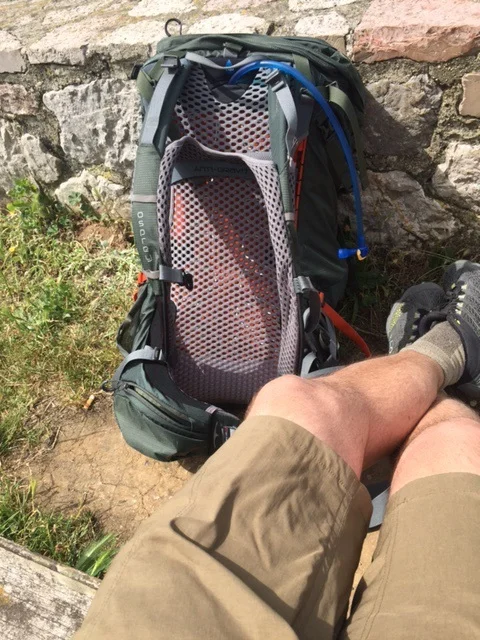 Sun! Time to take a break!