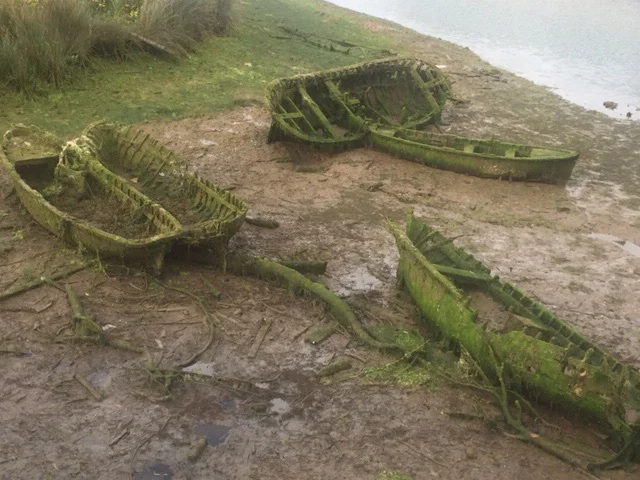 Ship graveyard