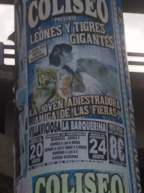 Circus is coming