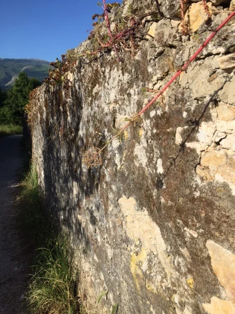 There can be beauty in a wall