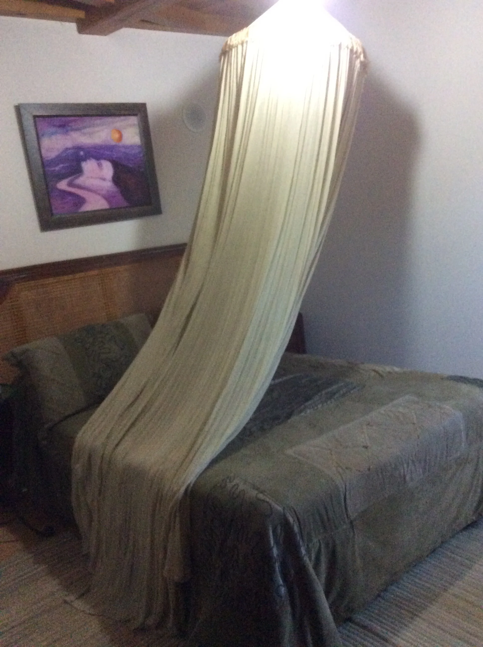 My bed. How cool!!??? (I took it down)
