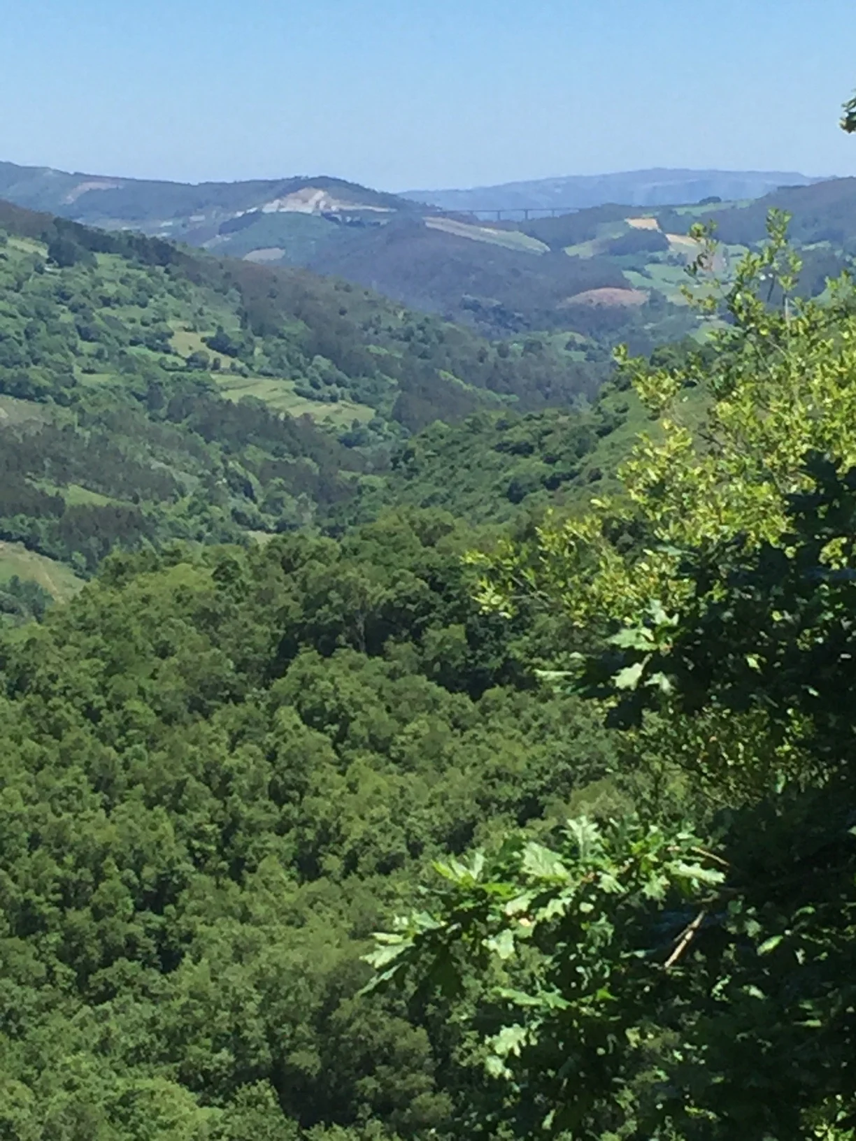 Entire valley I walked alone
