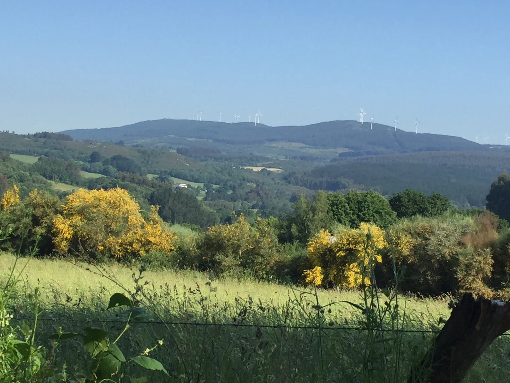 Mountains revealed