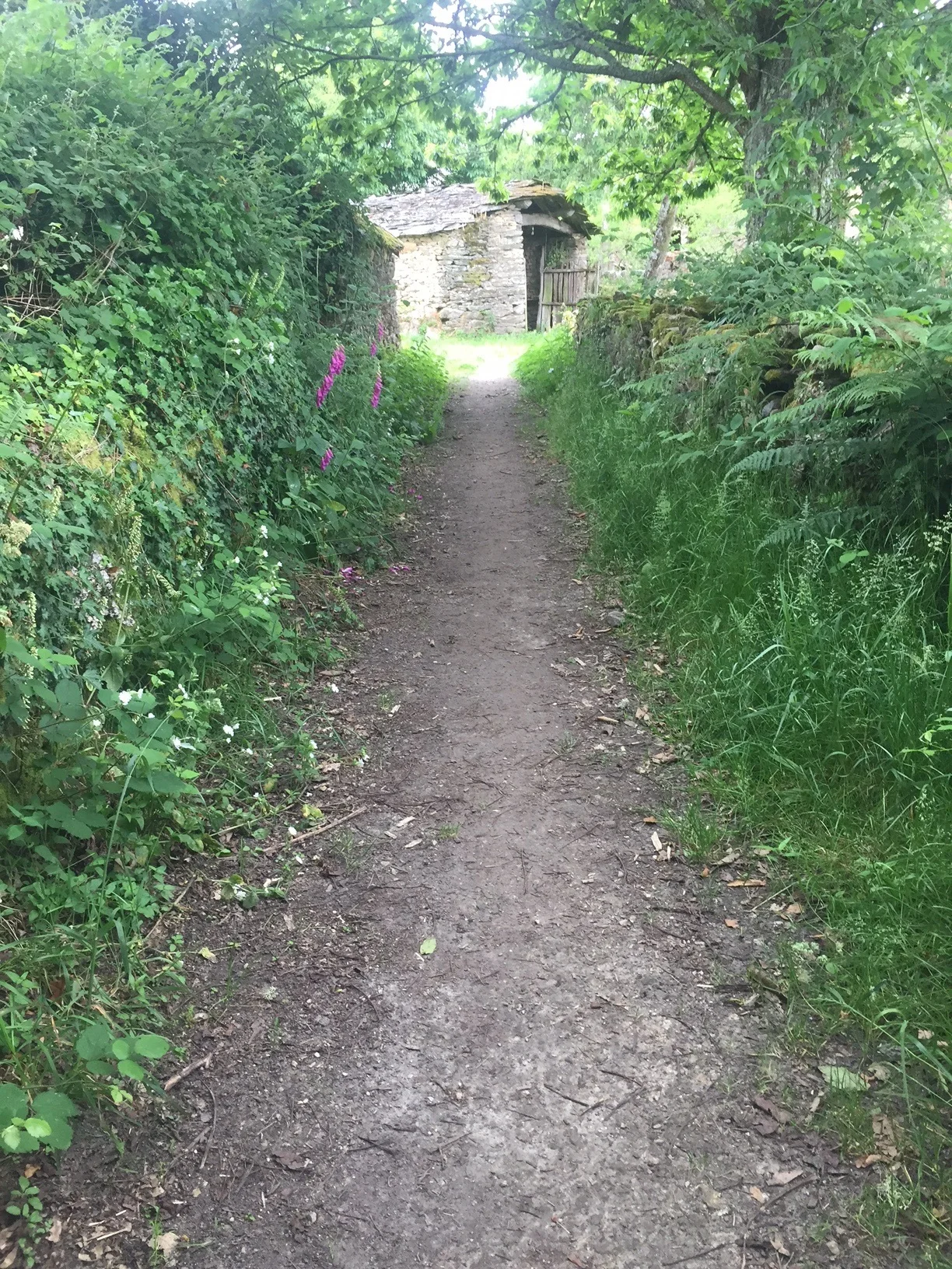 Road for the day