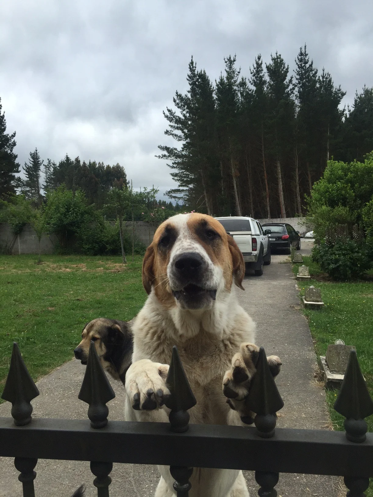 Happy to see you
