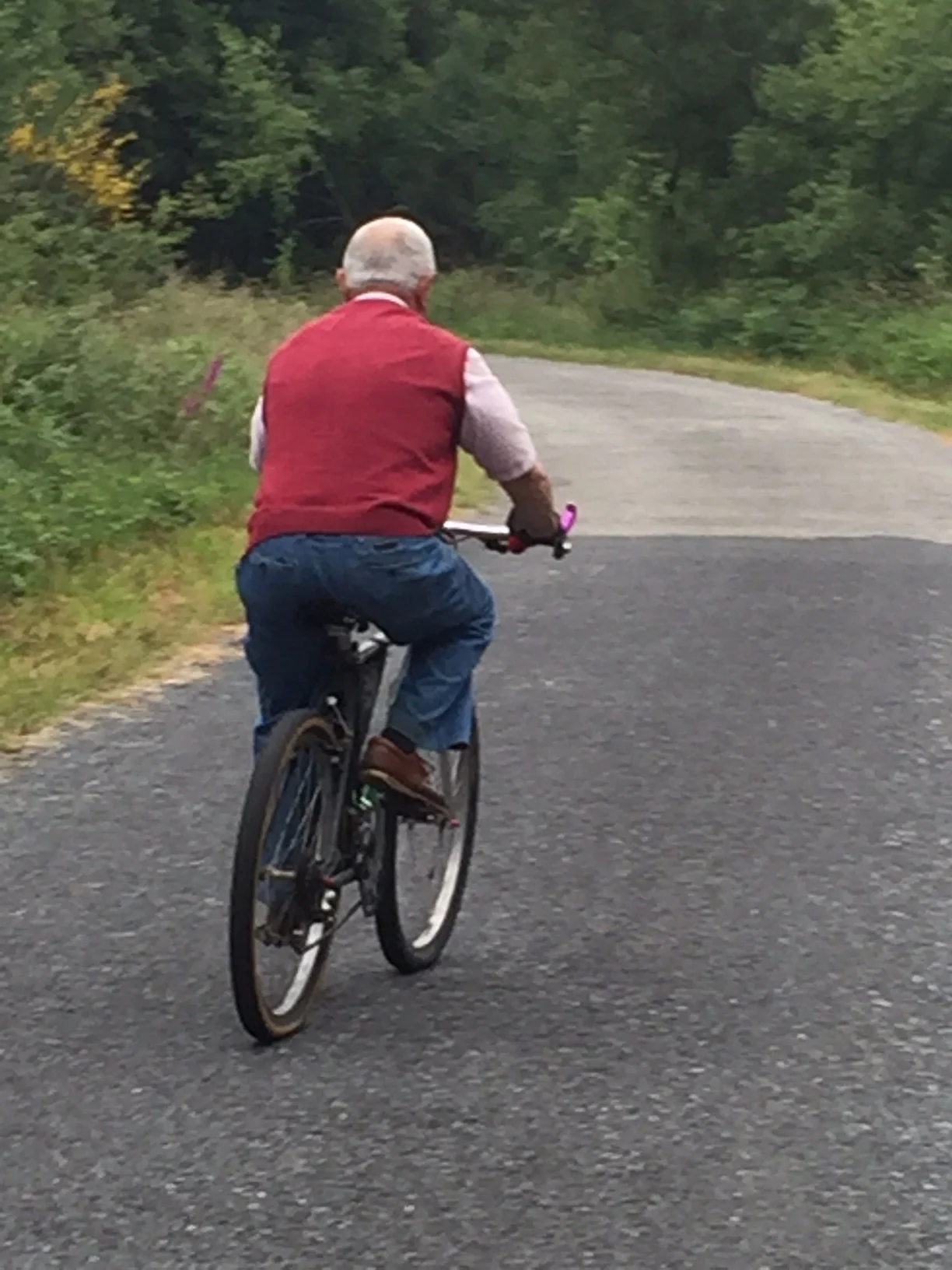 Bicycling through life