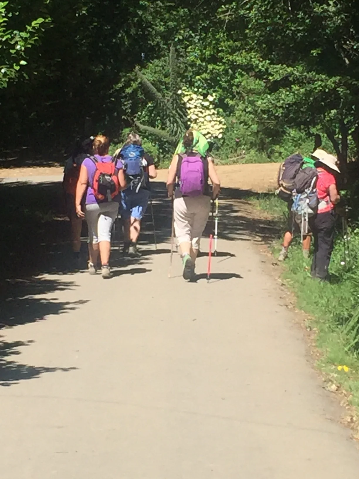 More pilgrims as Northern Route joins popular Camino Frances