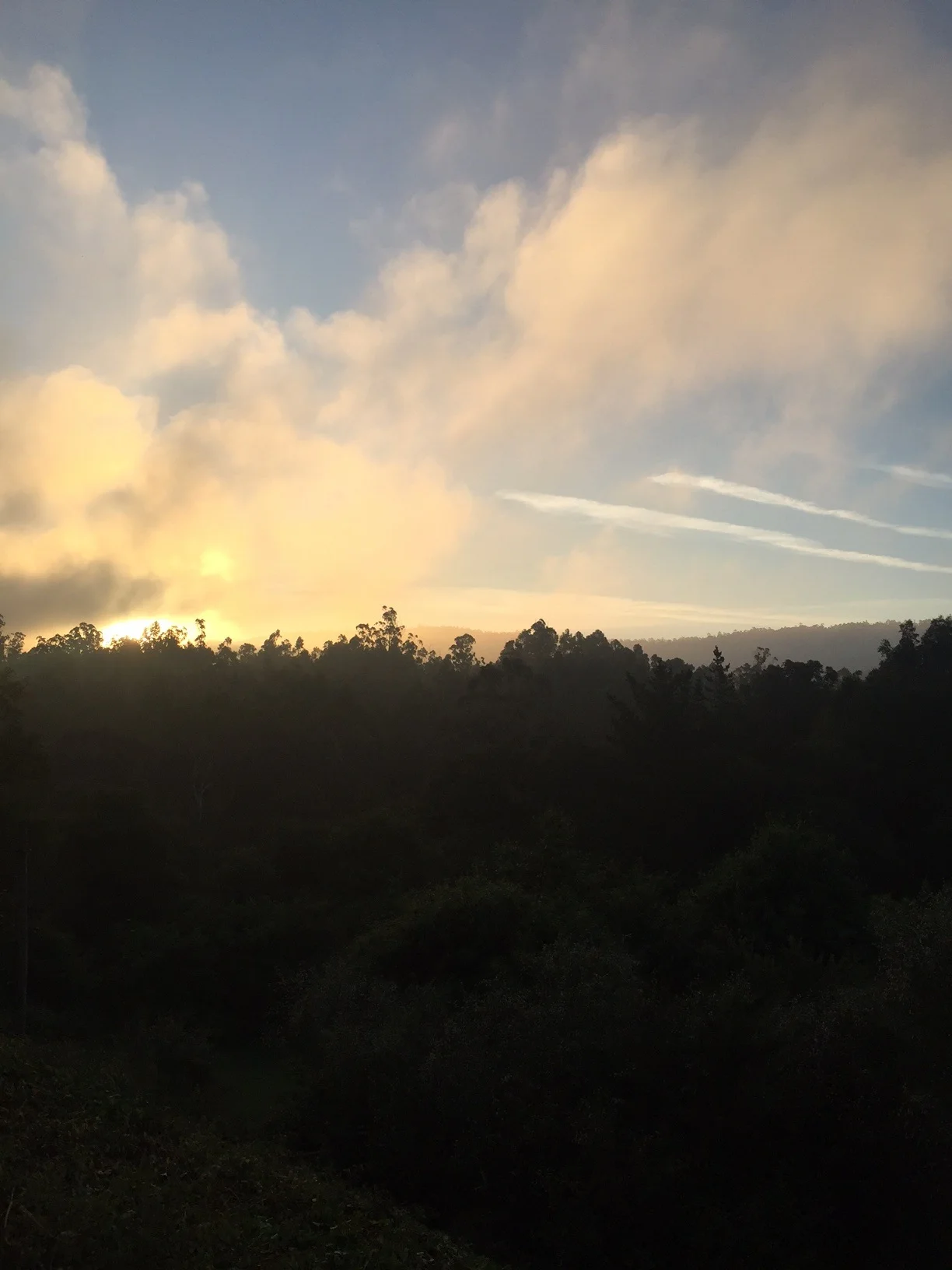 Good morning for a walk