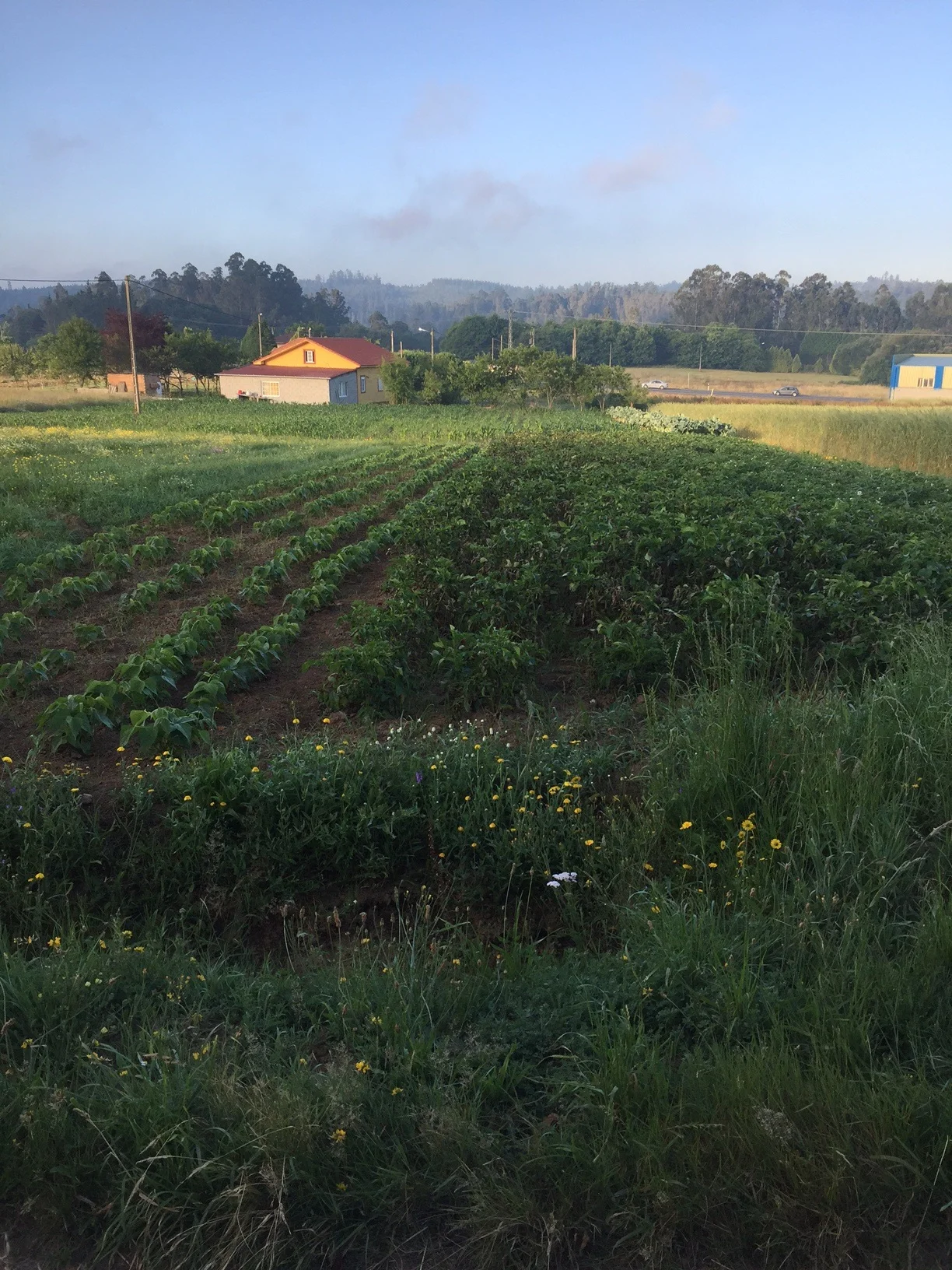Rich farmland