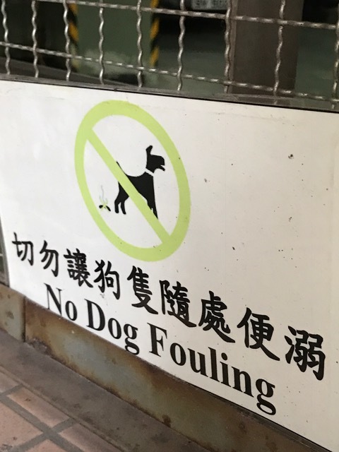 Beware the dog.