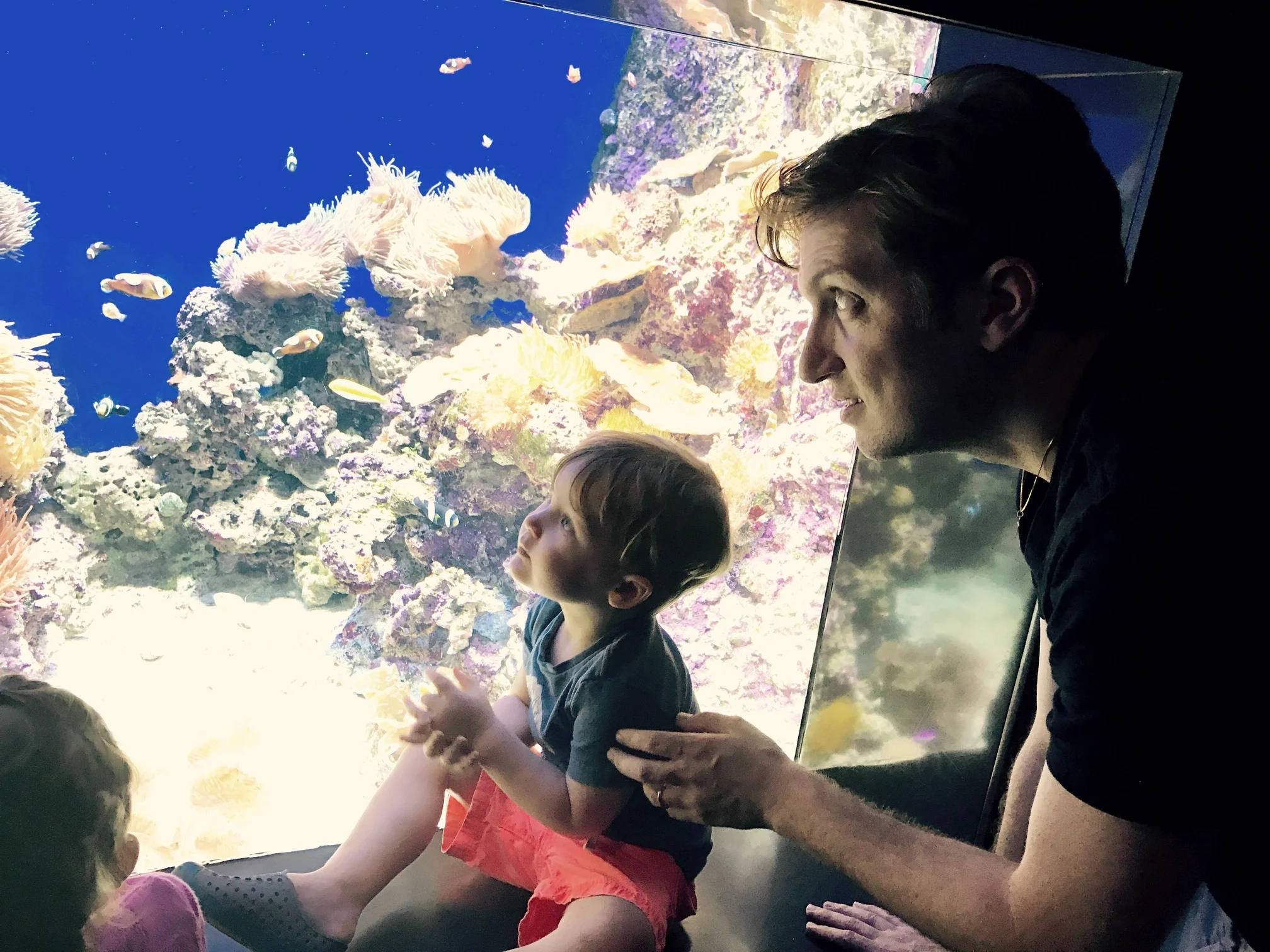 Looking at the fish