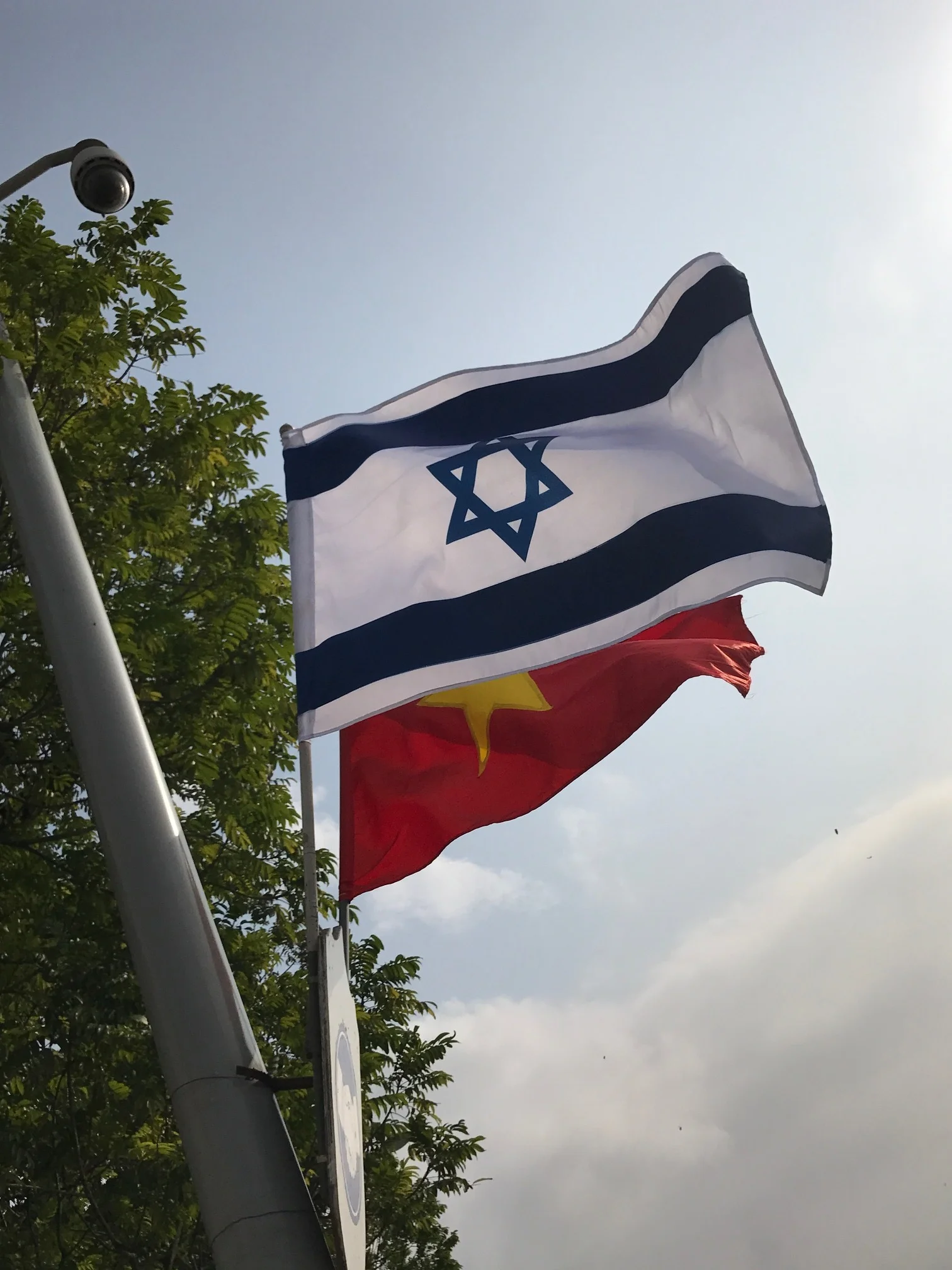 Friendship flags Israel and Vietnam