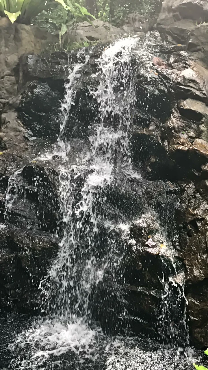 Of rain and a little boy's tears.