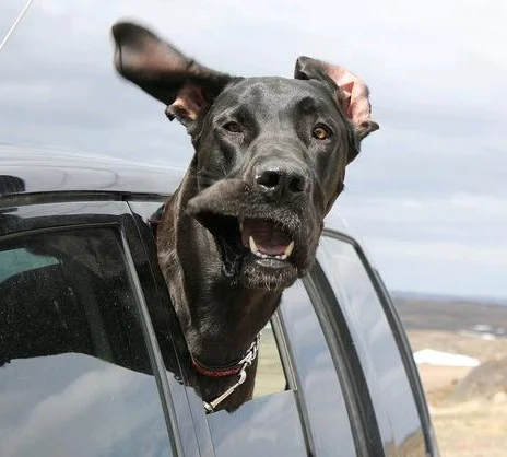 POEM SHARE: Happiness