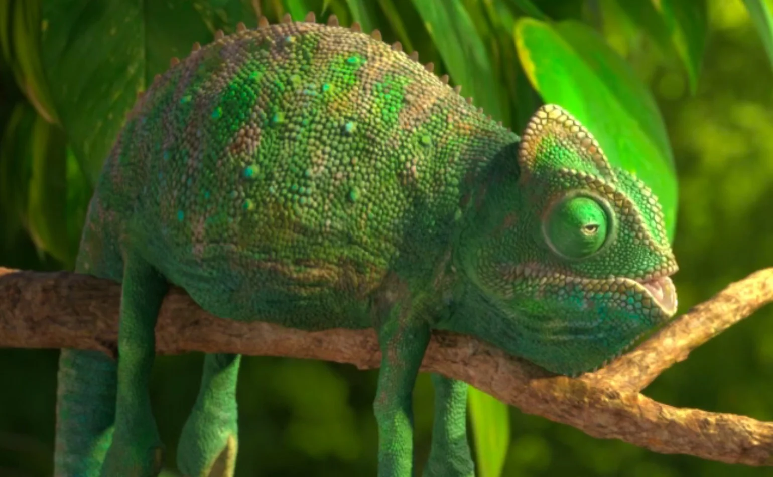 SHORT FILM SHARE: Our Wonderful Nature - The Common Chameleon (3:33 mins)