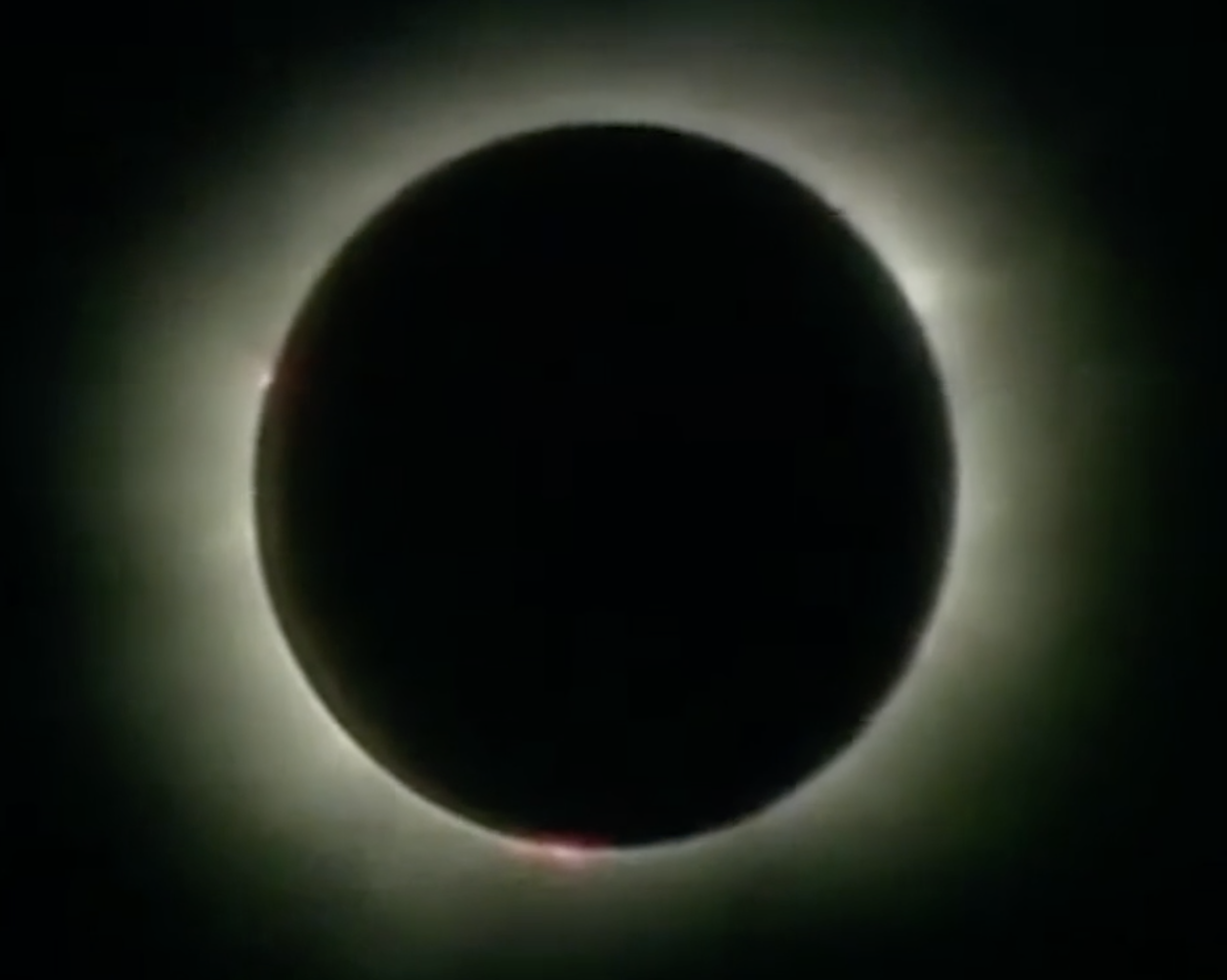 SHORT FILM SHARE: Go See This Eclipse (3:07 mins)
