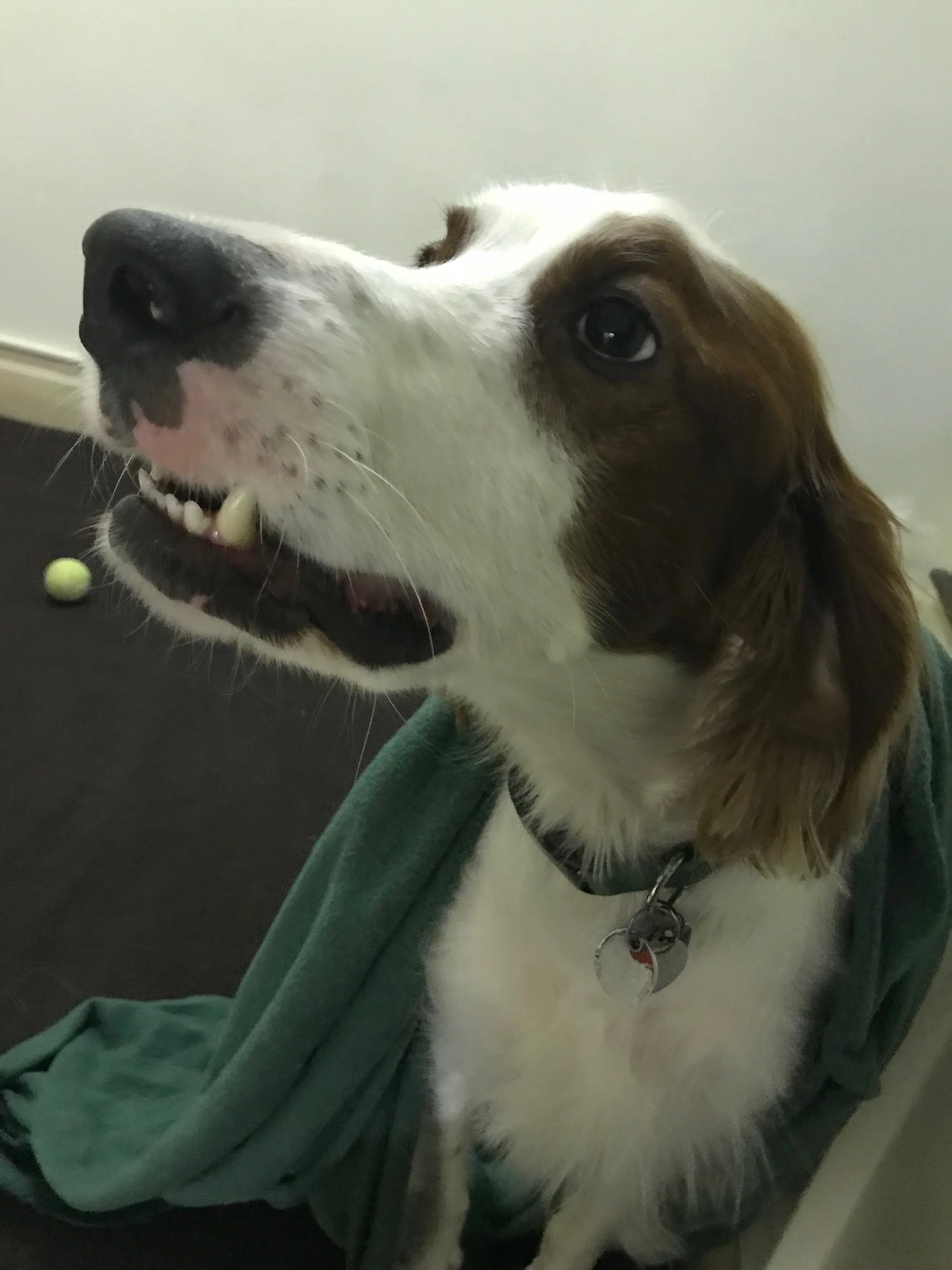 Ready or not, here I come.