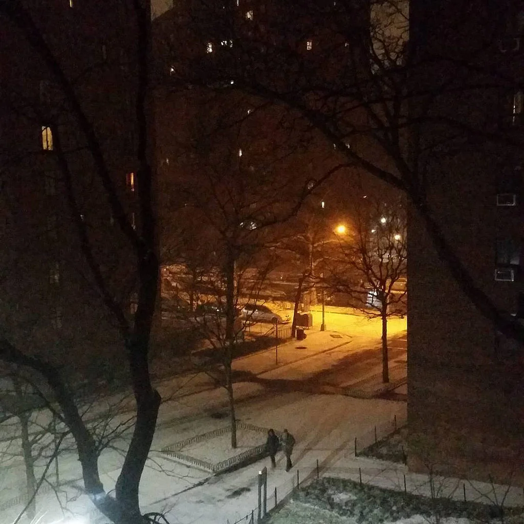 stuy2.jpg