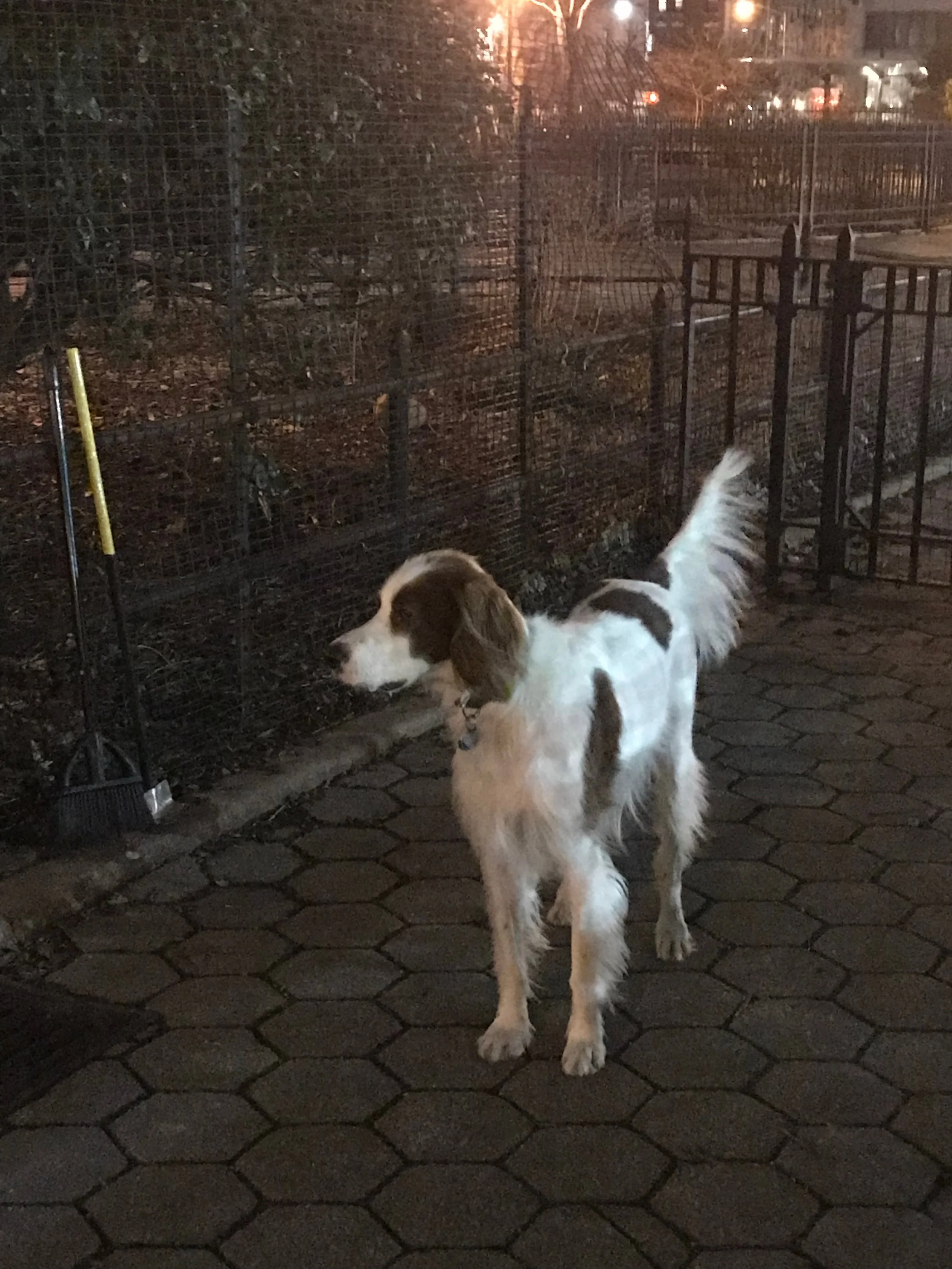 Murphy