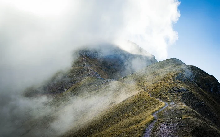 Harnessing the energies of love.