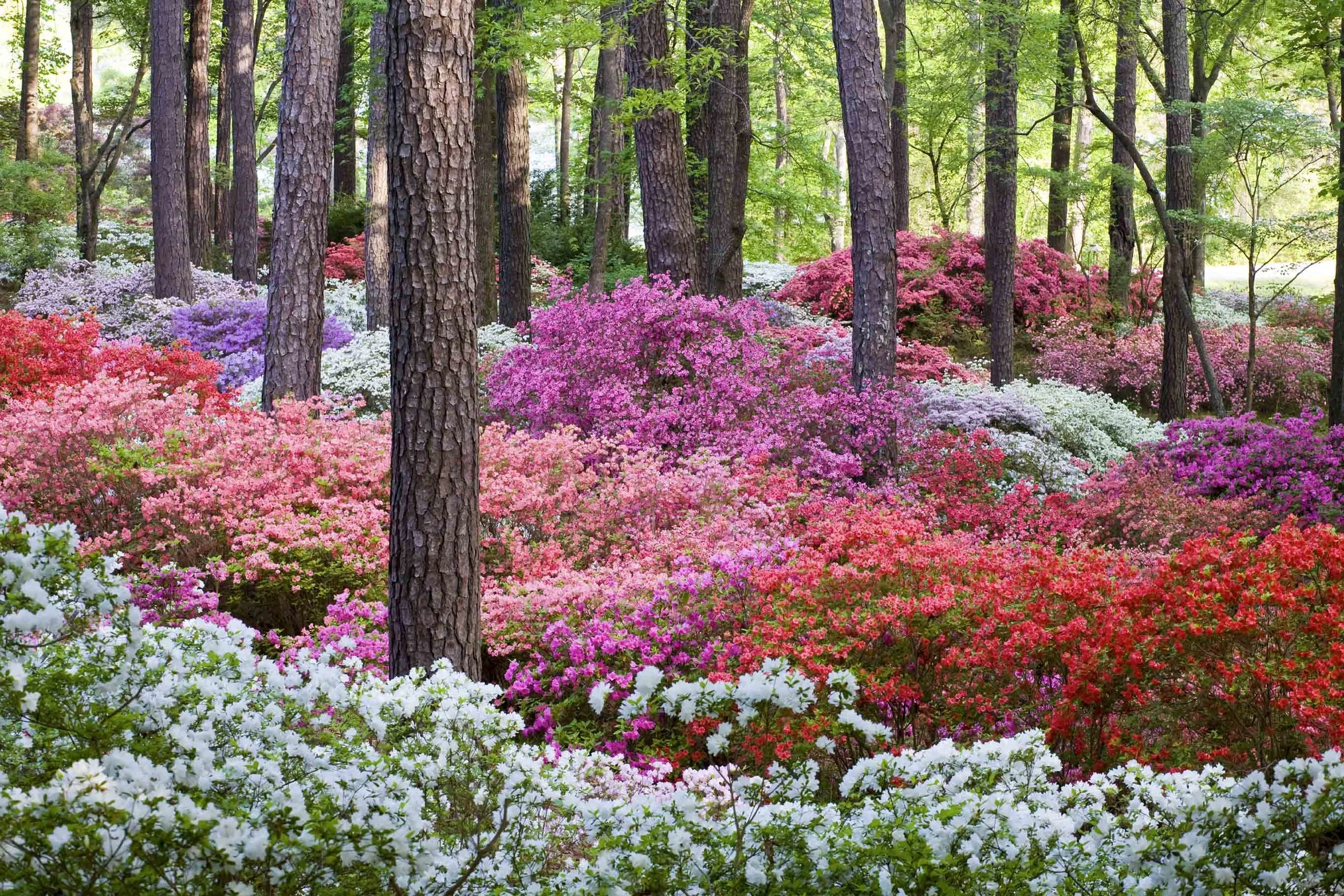 Overlook Garden 355.jpg
