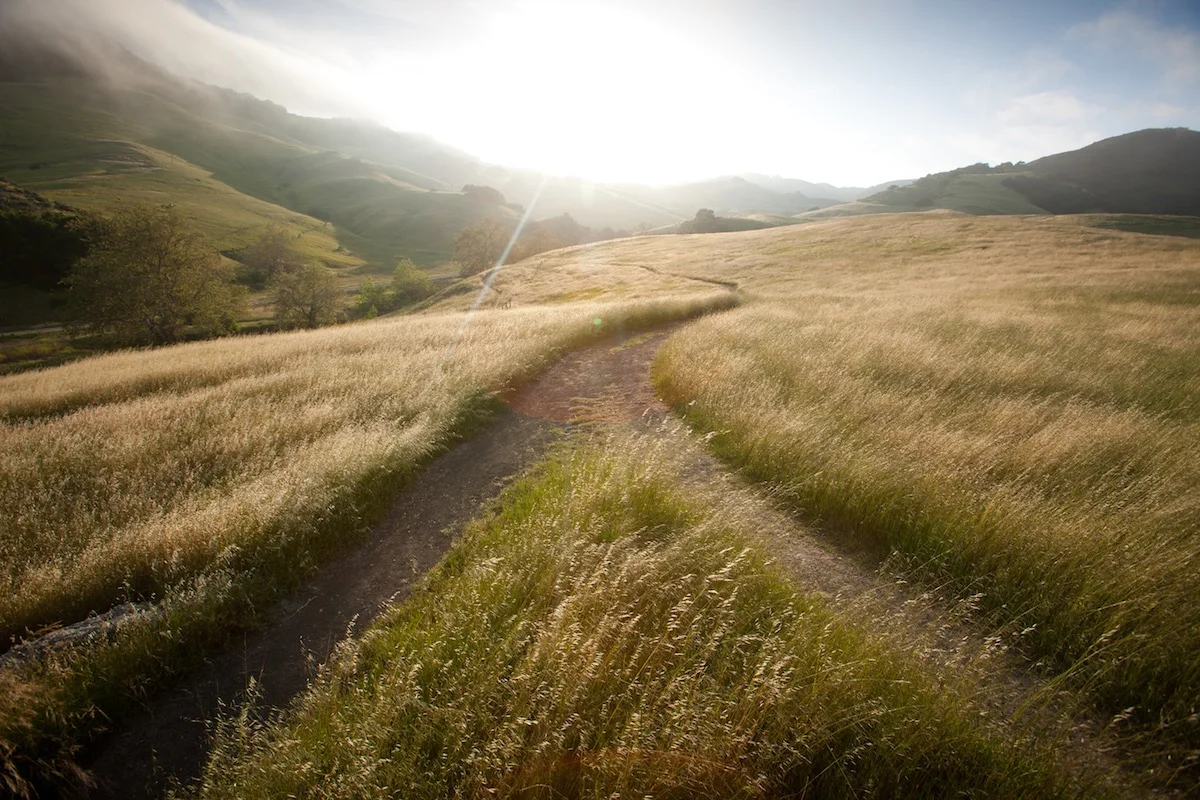 Path-Ahead.jpg