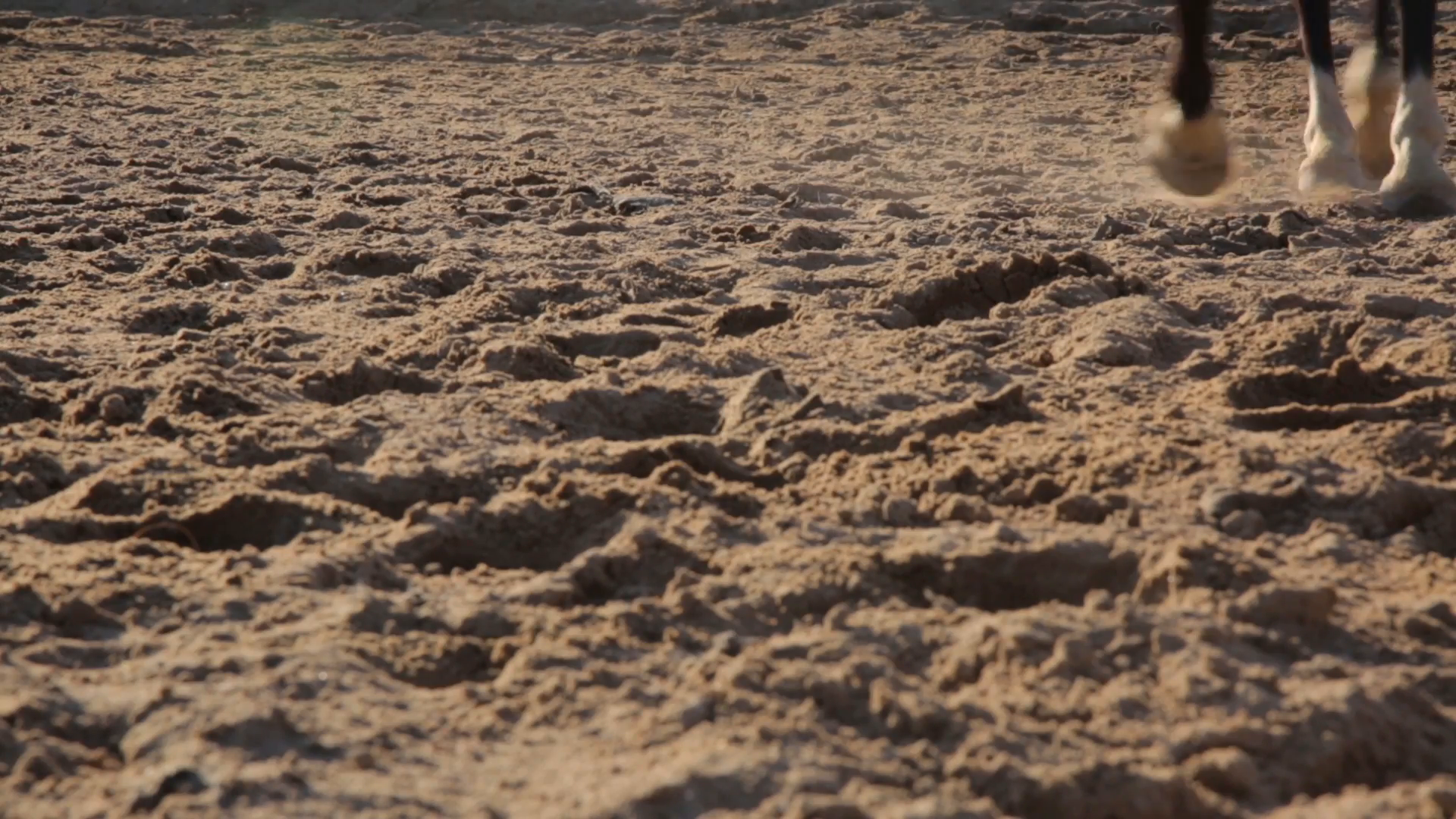 This week has to happen inside you.