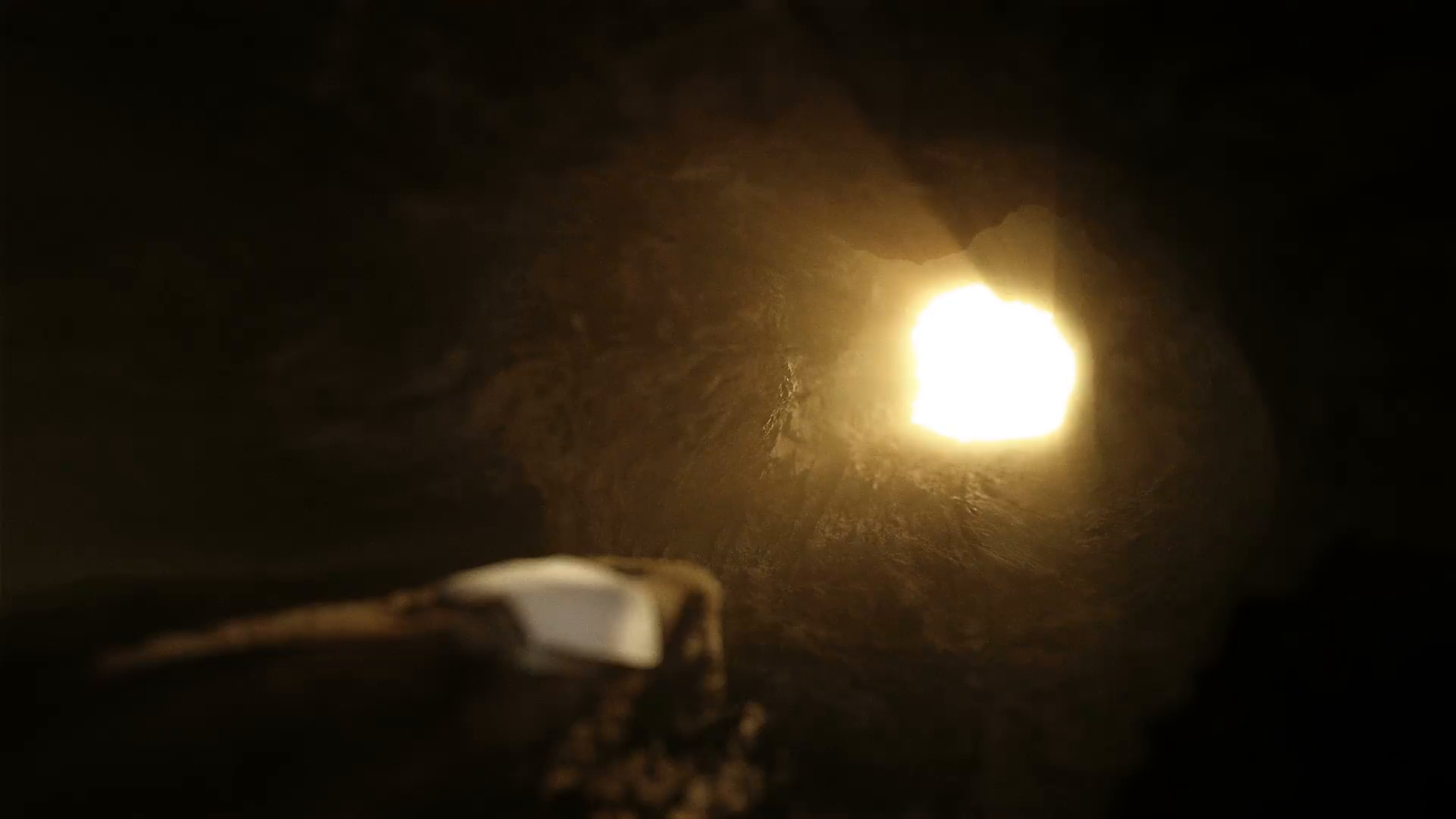 There was conception here.