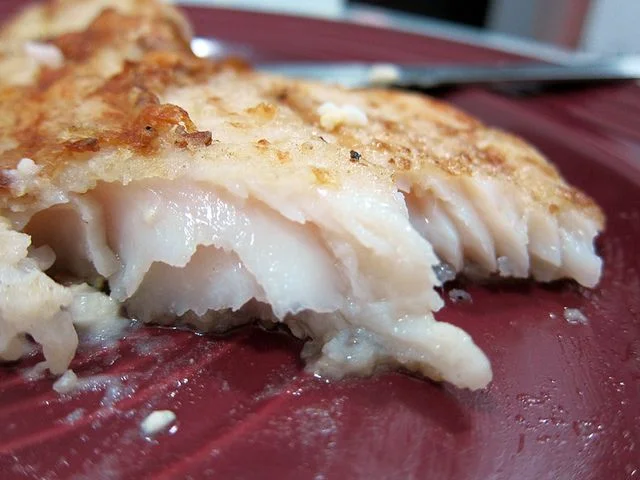 38e1ee133192cd294660442418a6113f--dory-fish-recipe--months.jpg