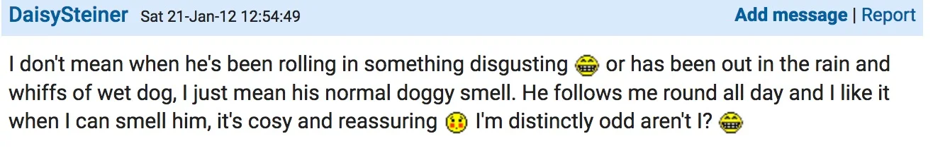 I LOVE MY DOG BLOG.jpg