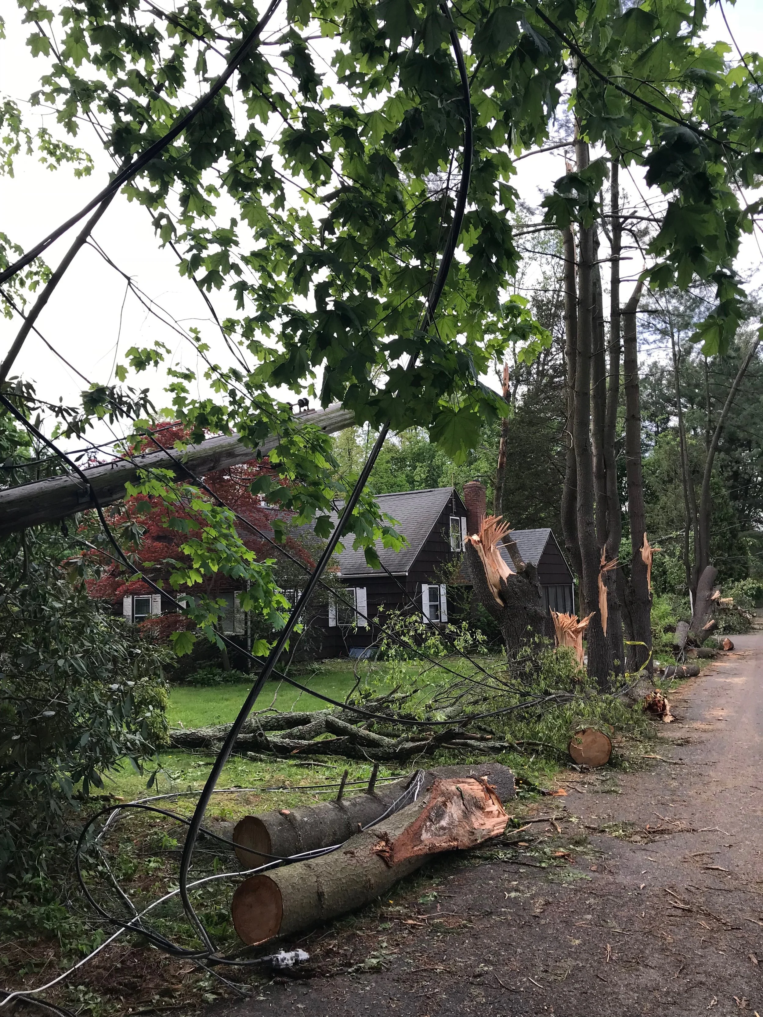 Damage from the storm.