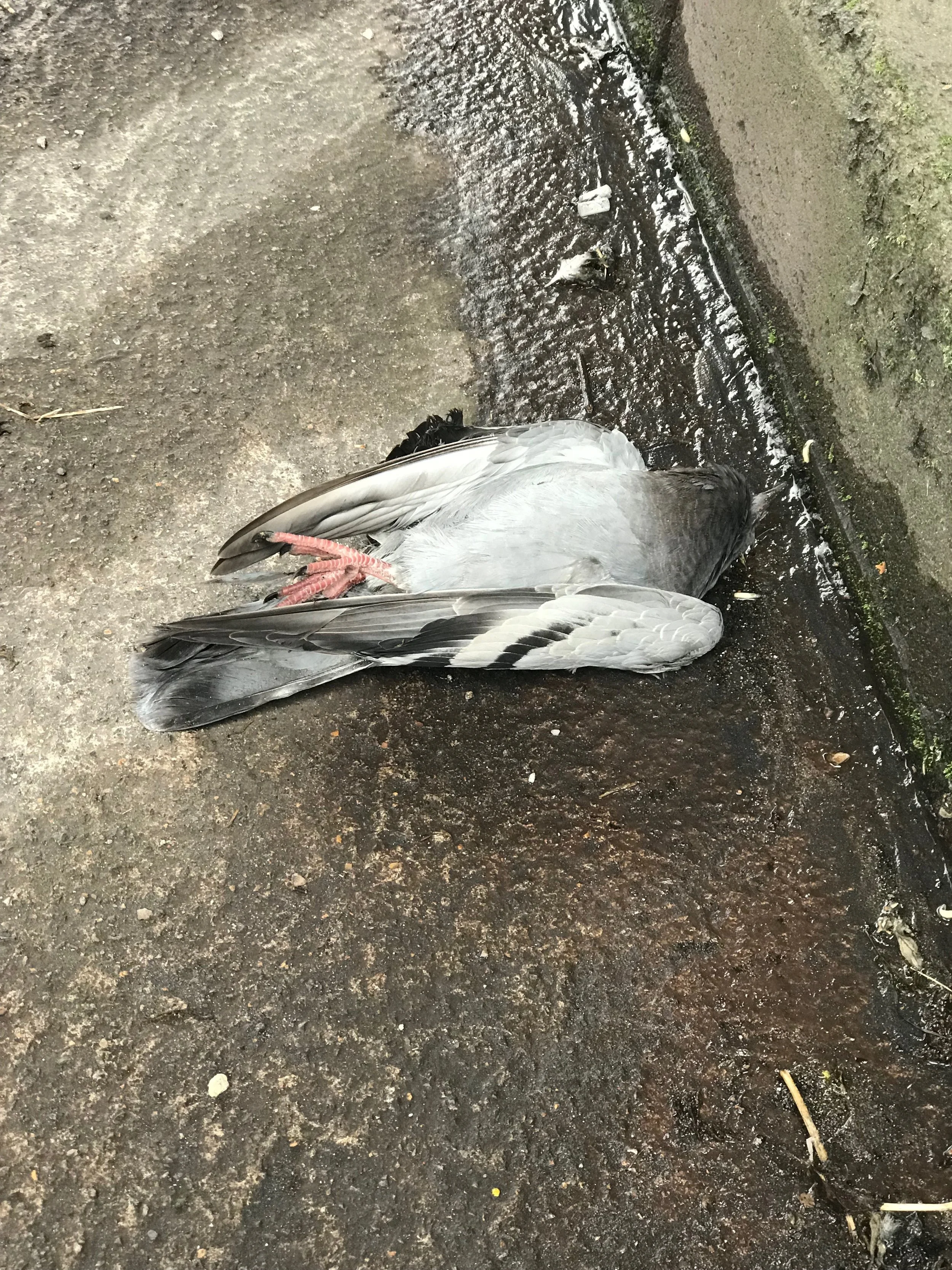 So beautiful in this diminishment.