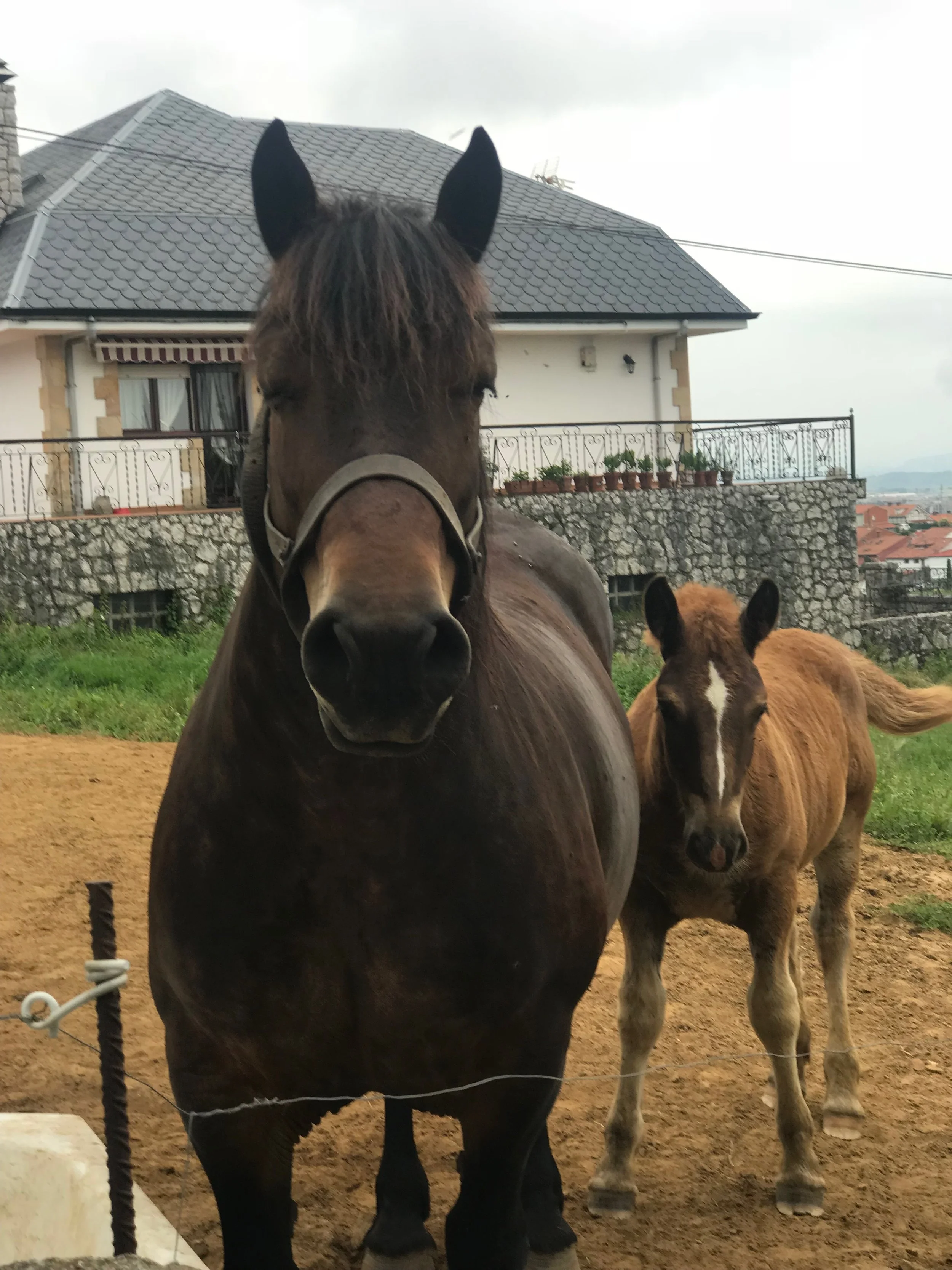 They flash upon that inward eye.