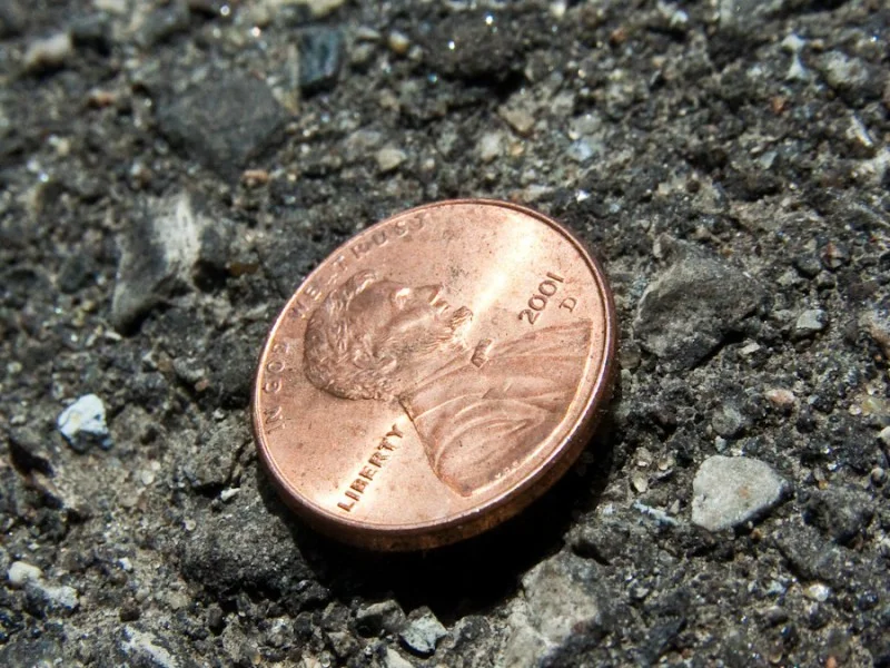 Penny.jpg