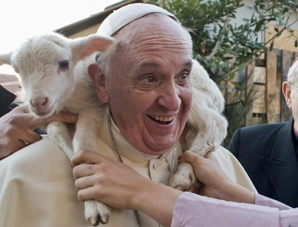 pope-francis-wears-a-sheep.jpg