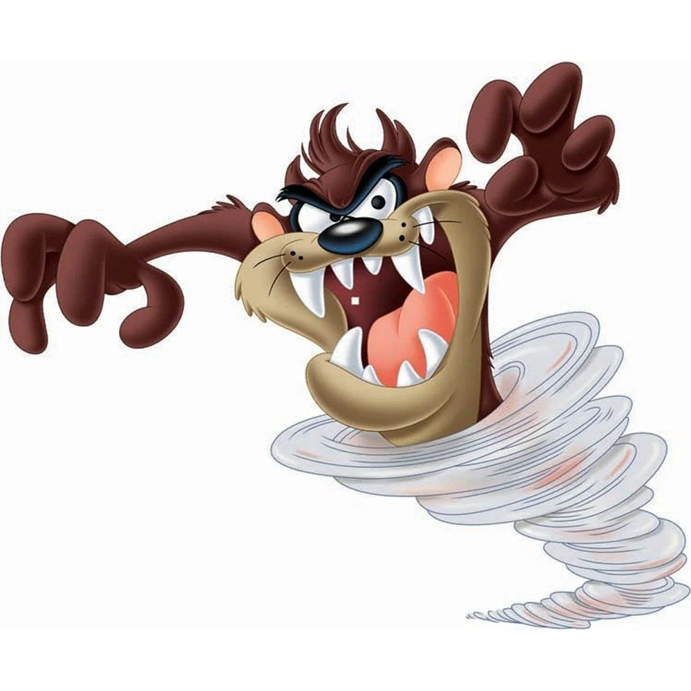 Tasmanian devil.jpg