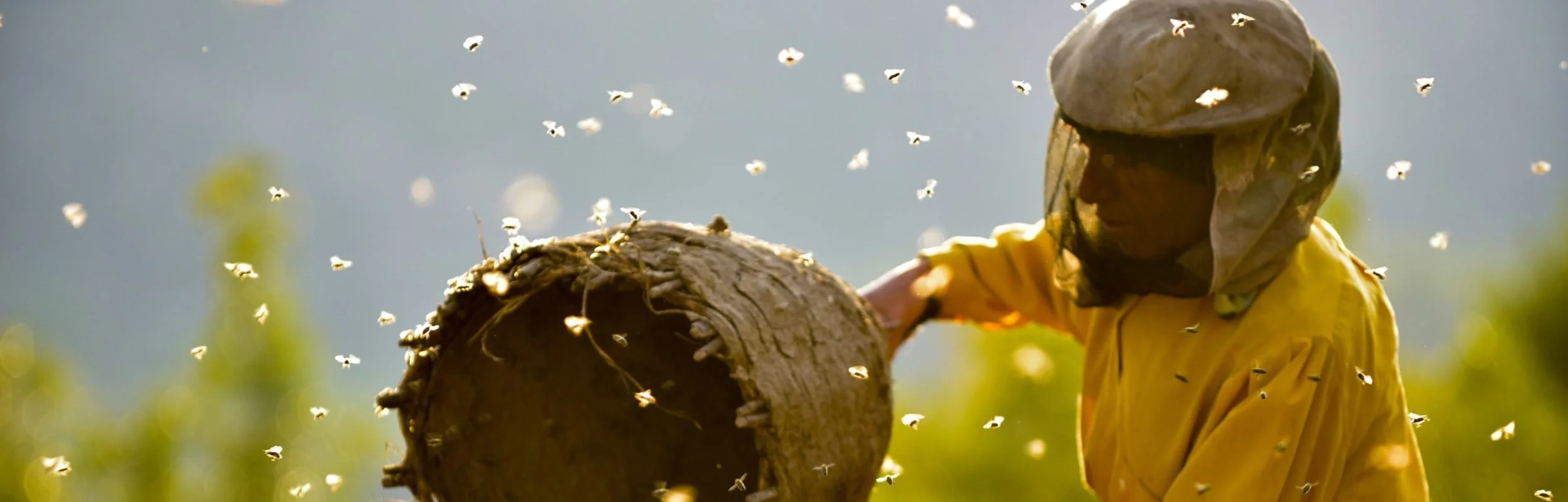 Honeyland_-_Still_1.jpg