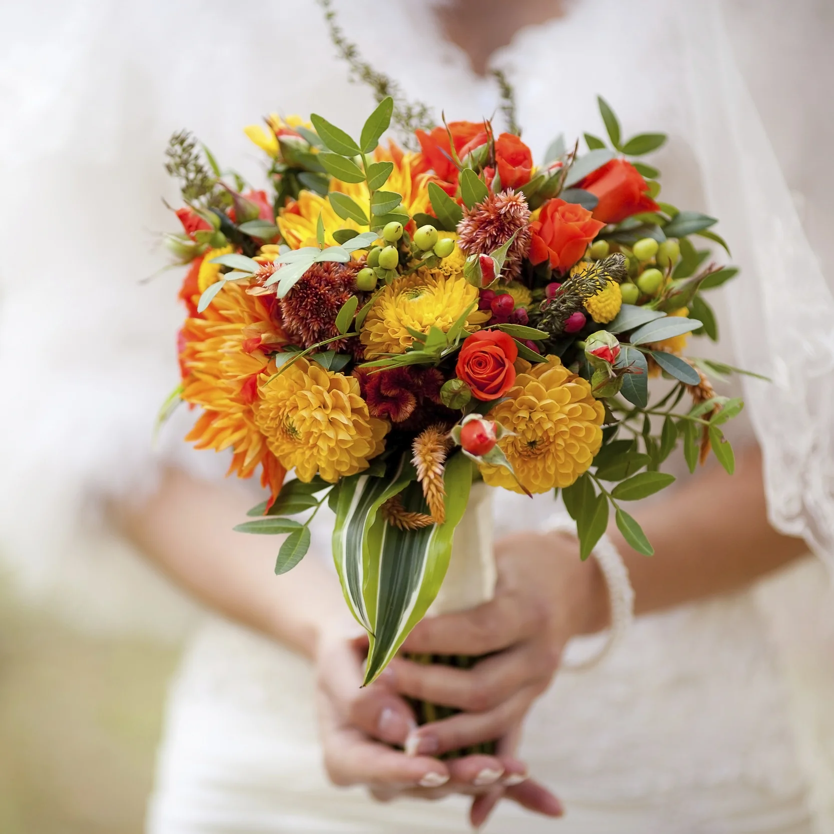 iStock_000061707170_Large.jpg