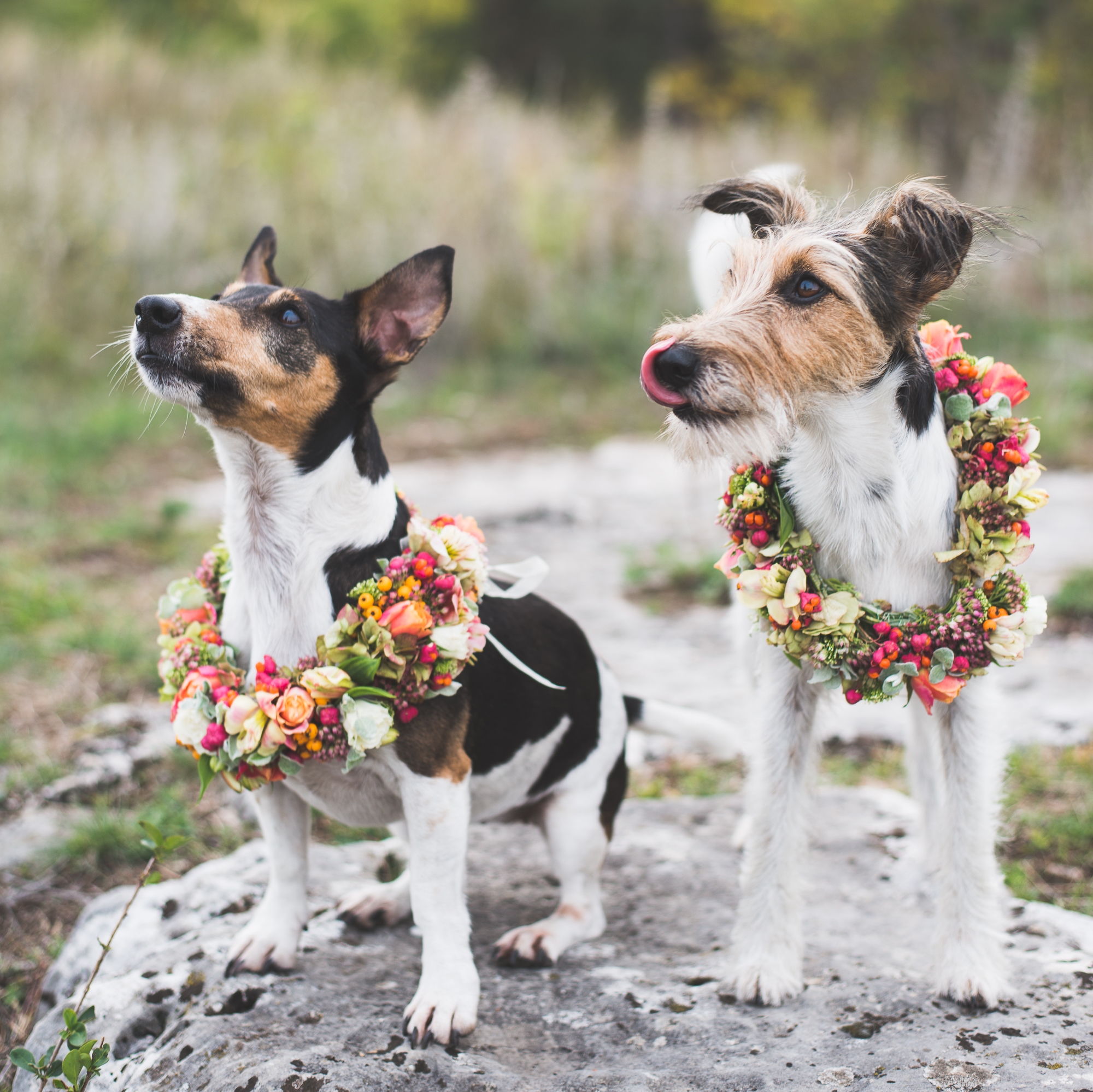 iStock_80813099_LARGE.jpg