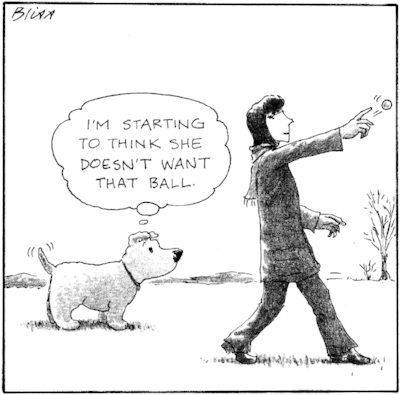 DogBallToon.png
